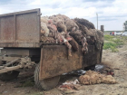Ставропольский бизнесмен получил 100 тысяч рублей штрафа за гигантскую свалку с гниющими животными 