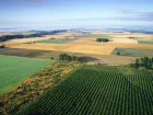 Две ставропольские компании вошли в список крупнейших владельцев сельхозземель