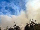 Горели больше 10 гектаров: несколько пожаров зафиксировали в окрестностях Ставрополя 19 сентября 