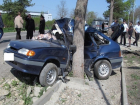 Молодой водитель ВАЗ-2114 врезался в дерево и погиб на месте в Ставропольском крае  