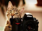 Фотоконкурс особо охраняемых природных территорий пройдет в Ставропольском крае