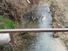В Ставрополе нашли мужчину, который загрязнял реку Ташла пенопластом
