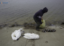 Россельхознадзор подтвердил факт гибели более 6 тысяч животных на Ставрополье