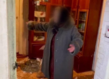 В Ставрополе вынесли приговор хозяйке собак, загрызших 9-летнюю девочку