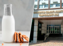 Минсельхоз Ставрополья пояснил за снижение закупочной цены на сырое молоко 