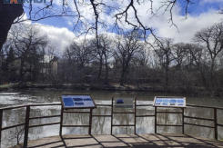 Ртищев пруд в Ставрополе: как доехать до малоизвестной достопримечательности и не разочароваться 