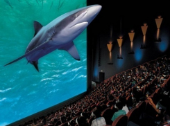 Презентацию лучших фильмов этого года бесплатно проведут в Ставрополе во всероссийский День IMAX