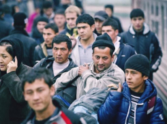 Палка о двух концах: мигранты на Ставрополье демпингуют на рынке труда, но и сами оказываются в зоне риска