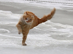 Гололед и сильный ветер обещают на Ставрополье на следующей неделе