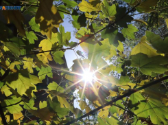 Аномальные +42 градуса придут на Ставрополье 12 июля