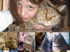 Виктория Беляева и ее 14-летняя дружба с котом Ватсоном 
