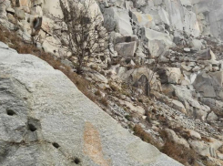 Загадочные камни на горе Верблюд недалеко от курортов КМВ привлекли чиновников 