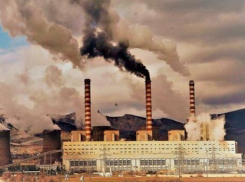 Природное мародерство: эколог об инициативе Госдумы упразднить экологическую экспертизу