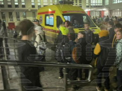 Работу металлодетекторов после поножовщины в Краснодаре проверят в ставропольских школах