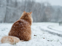 Туман и дождь со снегом ждут ставропольцев в субботу