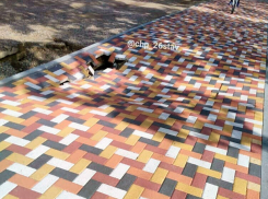 «Челлендж печально закончился», - ставропольцы о яме в новом тротуаре