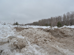 Ставропольские чиновники устроили свалку за городом