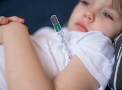 Фейк об отравлении каплями для носа 6 детей распространили на Ставрополье 