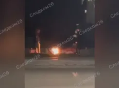 Бросавшие шишки в Вечный огонь парни на Ставрополье попросились на свободу 