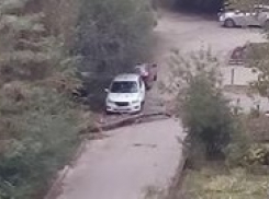 В элитном районе Ставрополя дерево едва не упало на автомобиль