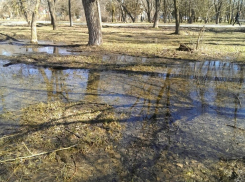 Первоклассник из Невинномысска заблудился в парке