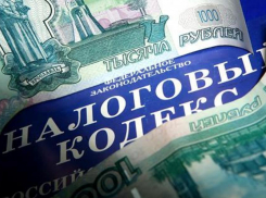 На Ставрополье директор регионального предприятия задолжал налоговой службе 29 миллионов рублей