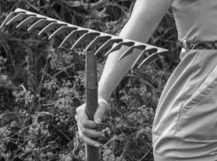 Изнасиловал, избил граблями и задушил — молодежная тусовка в Кочубеевском округе закончилась трагедией