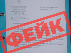 Внедрением топливных талонов напугали ставропольцев 