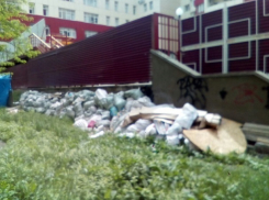 «Горы мусора в центре города – это просто позор», - житель Ставрополя