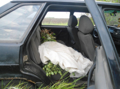 Погоню по бездорожью за груженой маком машиной устроила полиция на Ставрополье