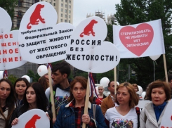 Ужесточить наказание за живодерство потребуют зоозащитники Ставрополья во время массовых всероссийских митингов