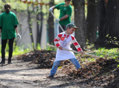 Ко Дню города любой желающий сможет очистить «розовую» улицу