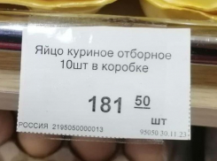 Не сошлось с выводами чиновников: официальная цена яиц на Ставрополье продолжает бить рекорды