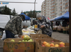 Дорожало детское питание и дешевели овощи: как за неделю изменились цены на Ставрополье