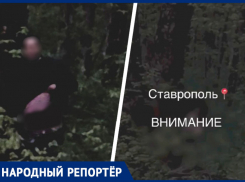 Очередного онаниста встретили в одном из лесов Ставрополя