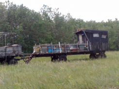 На Ставрополье спасатели уберегли пчёл от верной смерти