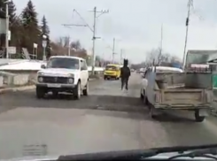 Бежавшая мимо автомобилей по встречке лошадь в Ессентуках попала на видео