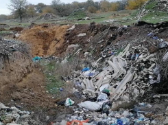 Трупы и шкуры животных прокуратура через суд заставила убирать администрацию Курского округа