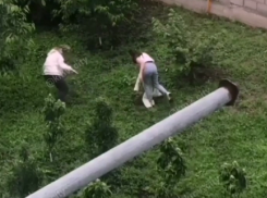 За дебош девочек-подростков полиция Ставрополья накажет их родителей