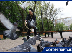 Следы железной дороги, убитые площадки и очаровательные люди — чем примечательна Туапсинка в Ставрополе 
