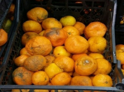  Гнилыми мандаринами хотели накормить покупателей в одном из сетевых магазинов Ставрополя