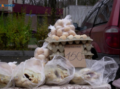 Аналитики Ставрополья подтвердили наибольший рост цен на продовольственные товары в крае