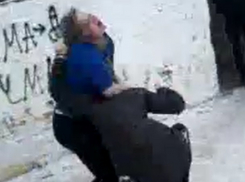 Жестокая драка школьниц на Ставрополье попала на видео