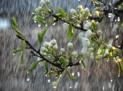 В понедельник вечером Ставрополь ждет дождь