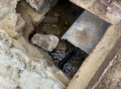 Жители поселка Новоспицевского необоснованно обвиняют местного фермера в своих проблемах с водой