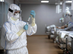 За сутки коронавирус забрал жизни 29 ставропольцев 