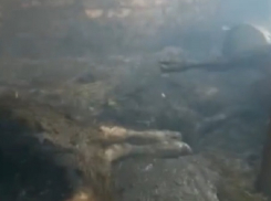 «Все машины пожарных уехали тушить поля, а наши дома и скот сгорели», - жительница сгоревшего поселка на Ставрополье 