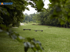 С загрязненными реками и незаконным спилом деревьев Ставрополь вошел в топ экологичных городов России