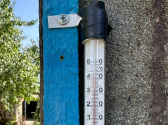 Рекордные 40 градусов официально зарегистрировали на ставропольской метеостанции