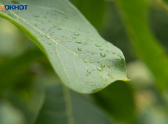 Штормовое предупреждение вновь продлили на Ставрополье